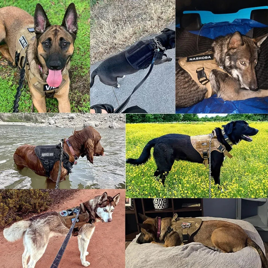awnice | Tactical Harness for Dogs